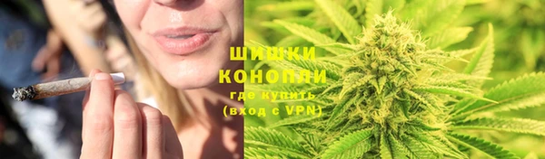 стафф Нефтегорск