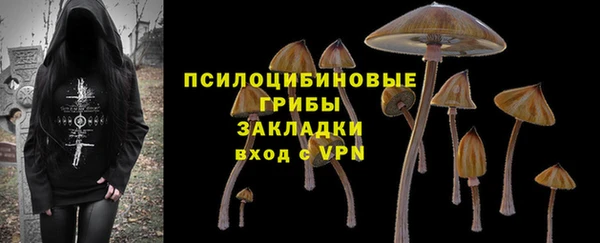 стафф Нефтегорск