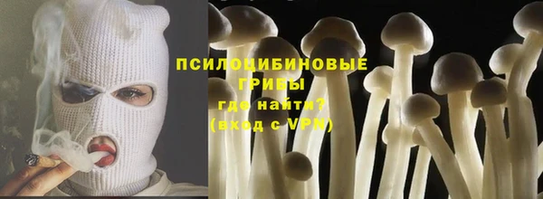 mdma Новодвинск