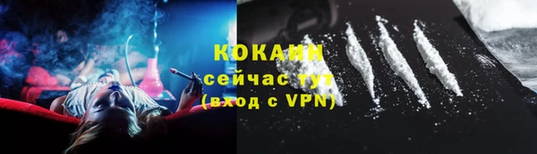 соль ск Новозыбков