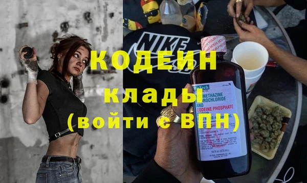 прущие грибы Нея