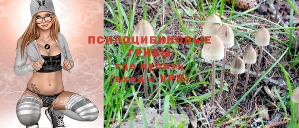 соль ск Новозыбков