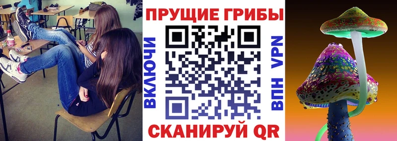дарк нет состав  Клин  Галлюциногенные грибы ЛСД  где продают наркотики 