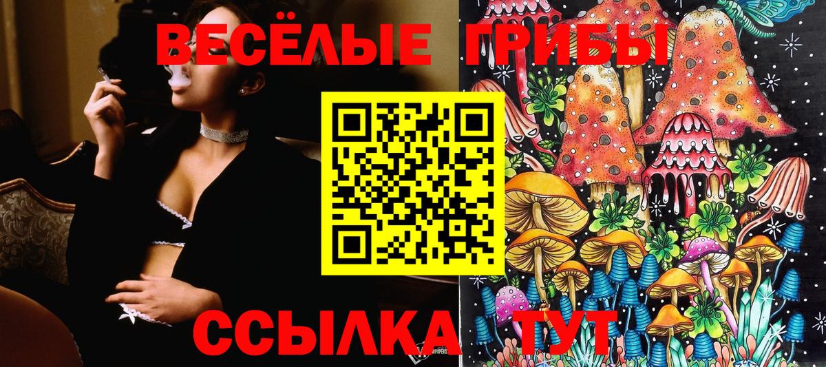 Псилоцибиновые грибы мухоморы  Вход с VPN  Клин 